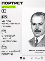 Портрет для школы в кабинет биологии "Николай Иванович Вавилов", стенд школьный для класса, деятели науки для оформления классного уголка, 40х30 см, Silver Plane x Айдентика Технолоджи