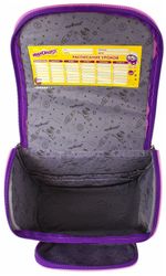 Ранец ЮНЛАНДИЯ WISE для начальной школы, Unicorn power, 37х29х15 см, 228817