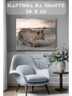 Картина на стену 40 X 50 Рысенок