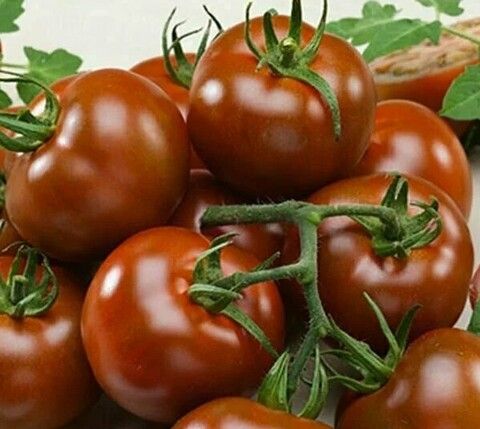 Томат Креолка