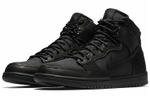 Кроссовки Nike Dunk Sb Bota