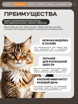 Корм сухой для кошек породы Сибирская кошка, с индейкой, 2 кг, QUATTRO
