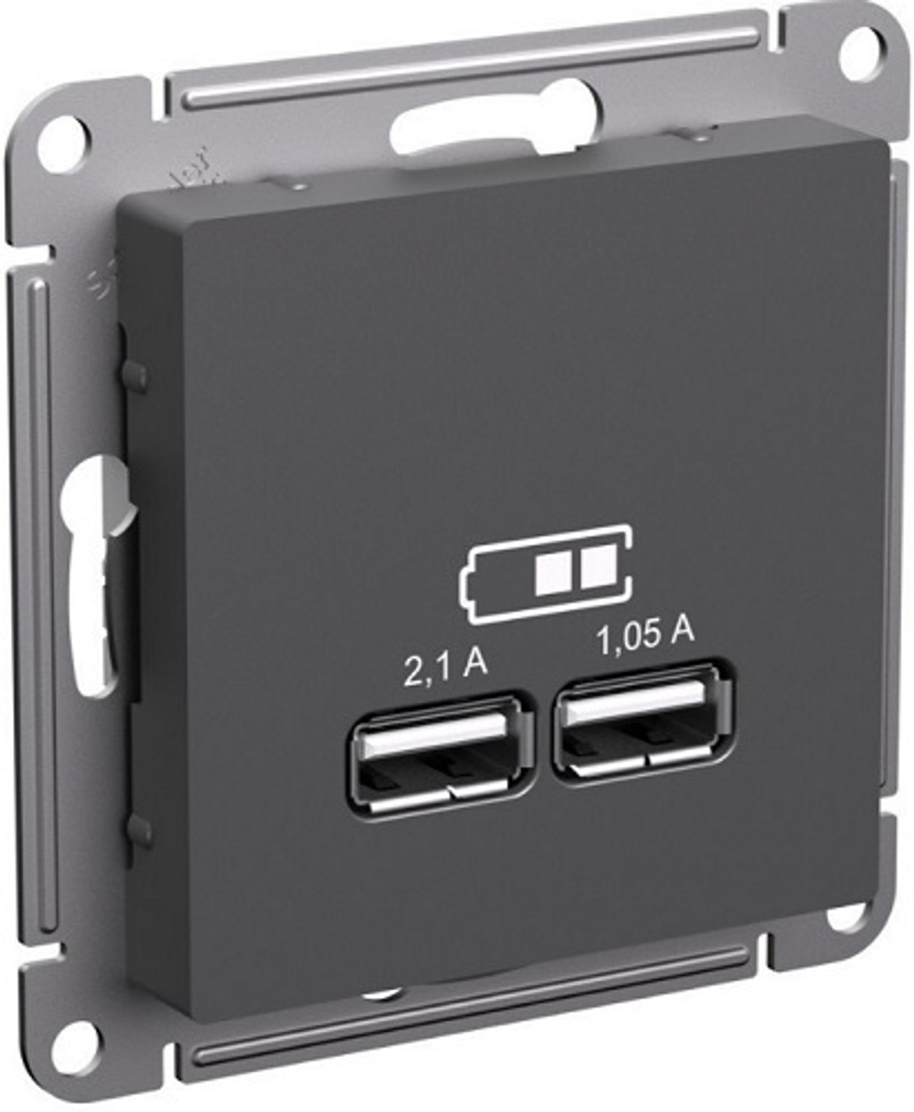 Розетка USB  Systeme Electric ATN001433