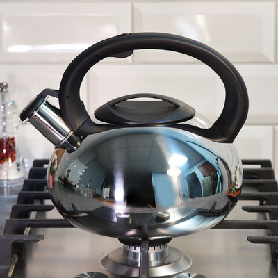 Чайник 2,5л со свистком нерж, индукция, матов/полированный