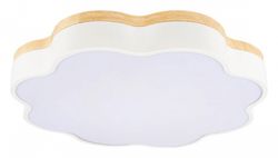 Накладной светильник Loft it Axel 10225/36 White