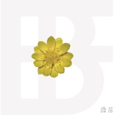 Альбом BF - BLOSSOM OF SNOW