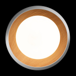 Потолочный светодиодный светильник Loft It Folk 10255/500 White