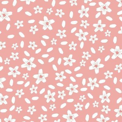 белые цветы и лепестки на розовом фоне