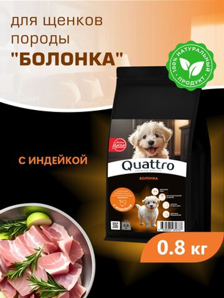 Корм сухой для щенков породы Болонка, с индейкой, 800 гр, QUATTRO