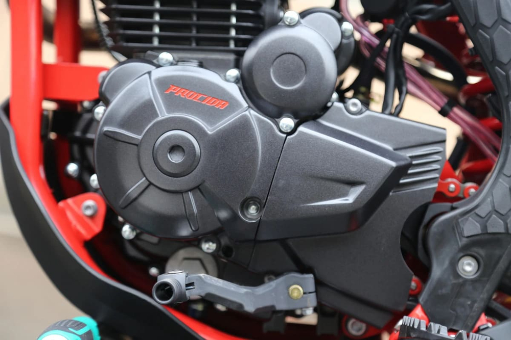 Мотоцикл кроссовый эндуро PROCIDA 2020 PR300