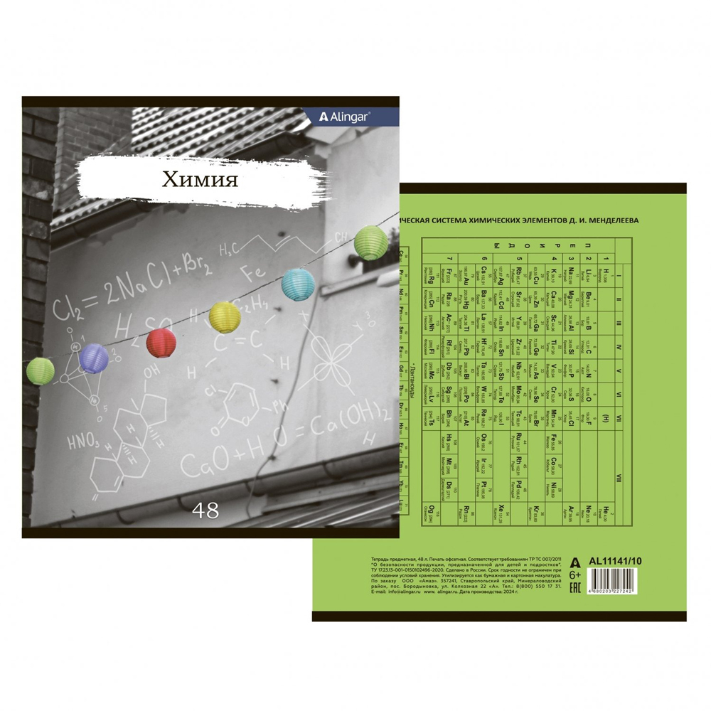 Набор предметных тетрадей 48 листов, 10 штук, Alingar, со справочным материалом, скрепка, мелованный картон, серия "Город"
