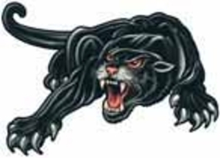 Наклейка "Пантера в стойке" винил 50*70см  05170