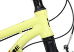 Maxiscoo 3BIKE 20'' M (2025)