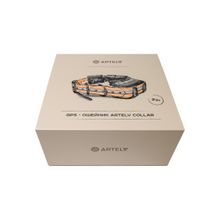 GPS ошейник ARTELV COLLAR 2W