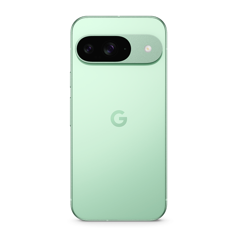 Смартфон Google Pixel 9 12/256GB, Wintergreen (Зимнезелёный) (Global)