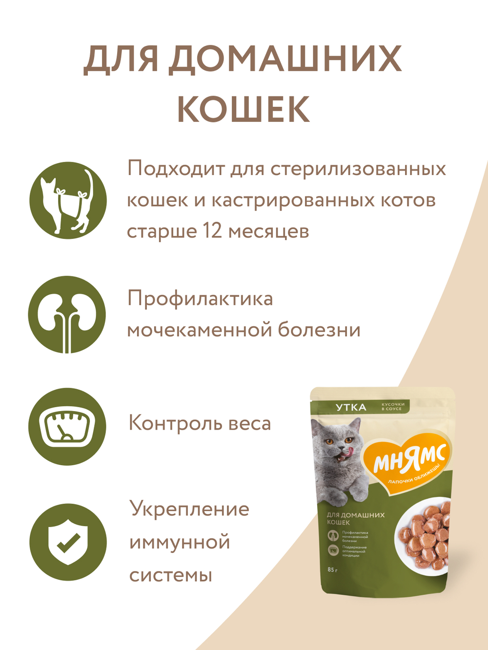 Влажный корм Мнямс На каждый день Кусочки в соусе с уткой для домашних кошек 85 г