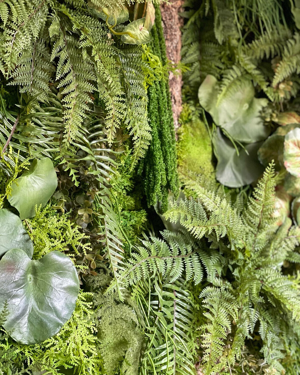 Папоротник остролистный ветка 130 см.