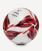 Мяч футбольный Triumph Pro №5