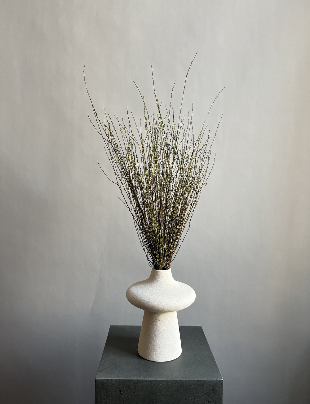 Вереск зеленый