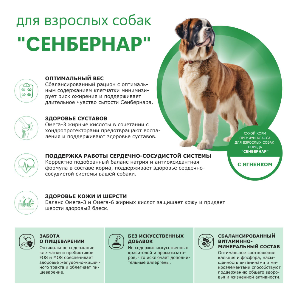 Корм сухой для взрослых собак породы Сенбернар, с ягненком, 12 кг, QUATTRO