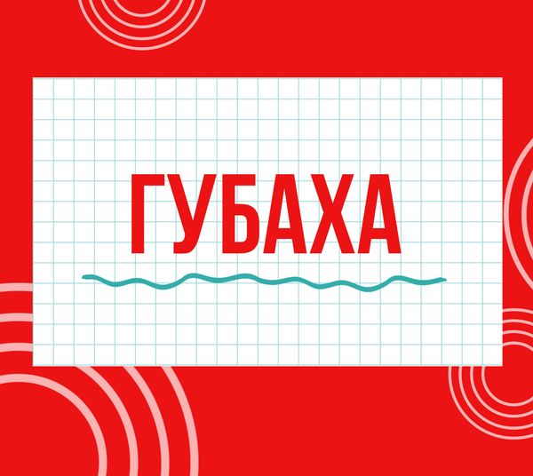 Магазины &quot;Циркуль&quot; г. Губаха