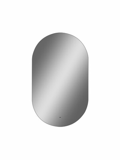 Зеркало "Fleur Led" 650х1100 с бесконтактным сенсором, холодная подсветка