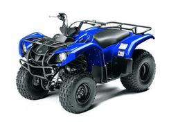 Квадроцикл GRIZZLY 125