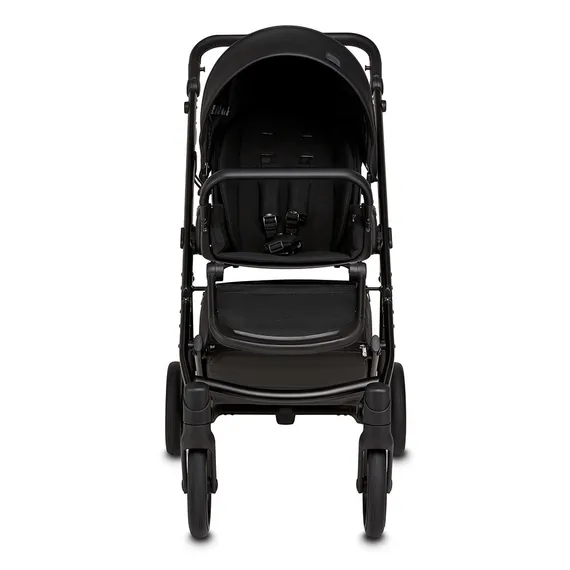 Коляска ANEX e/type 2 в 1 (CrN-01) noir