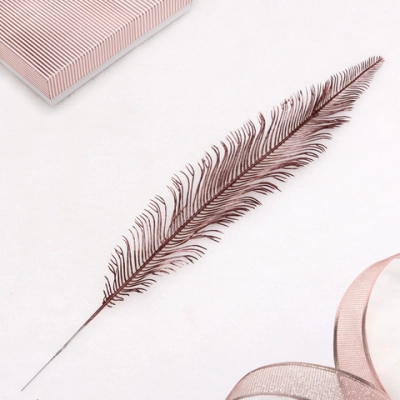 Ветка декоративная «Волшебное перо» 53 см, Шоколад