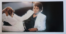 Винтажная виниловая пластинка LP Michael Jackson Thriller (Japan 1982) (No Obi)