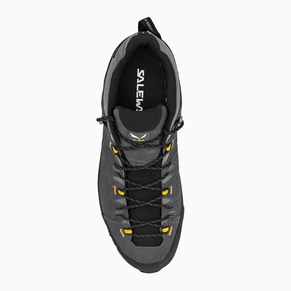 Ботинки Salewa Alp Trainer 2 GTX onyx/black