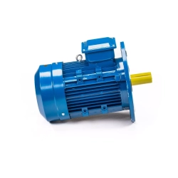 Электродвигатель 5АИ 100 L2 5,5/3000 IM3081