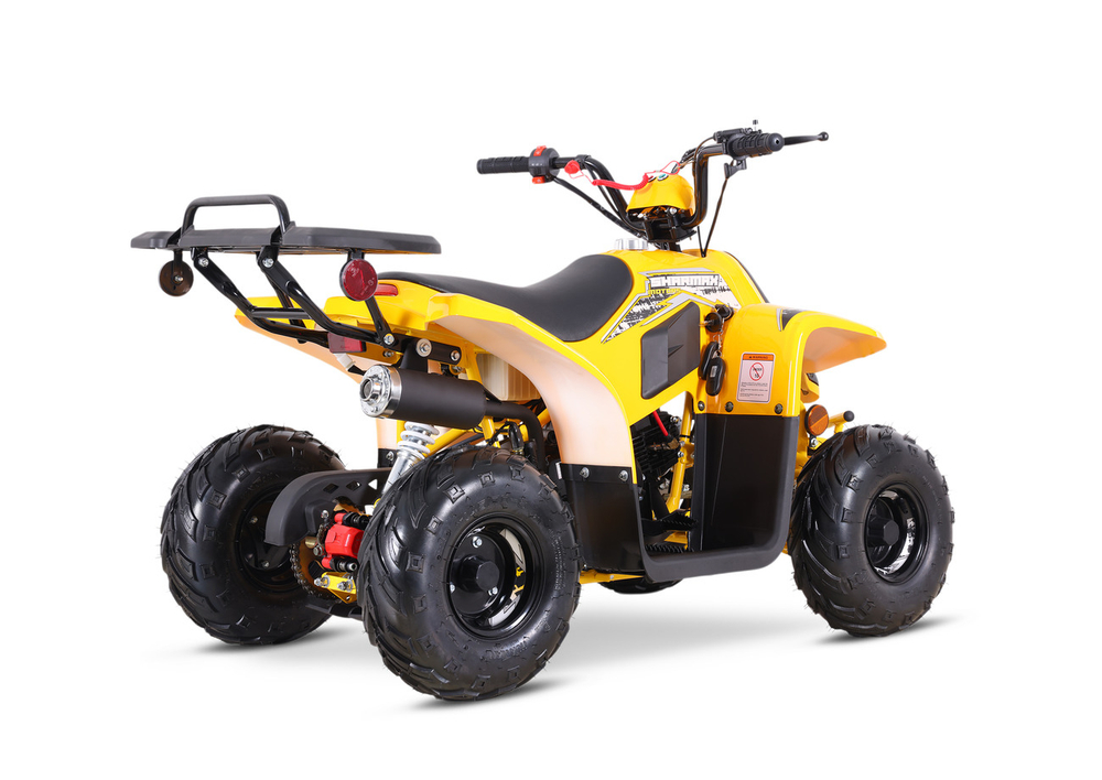 Квадроцикл SHARMAX 130 Cross