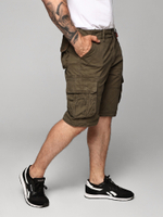 Шорты карго Abercrombie & Fitch AB603