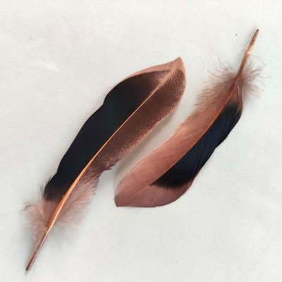 Перья кряквы коричневые 10 шт.