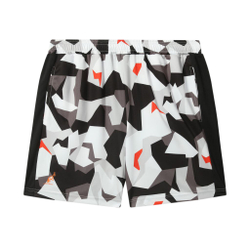 Мужские теннисные шорты Australian Short Ace Camo Print - разноцветный