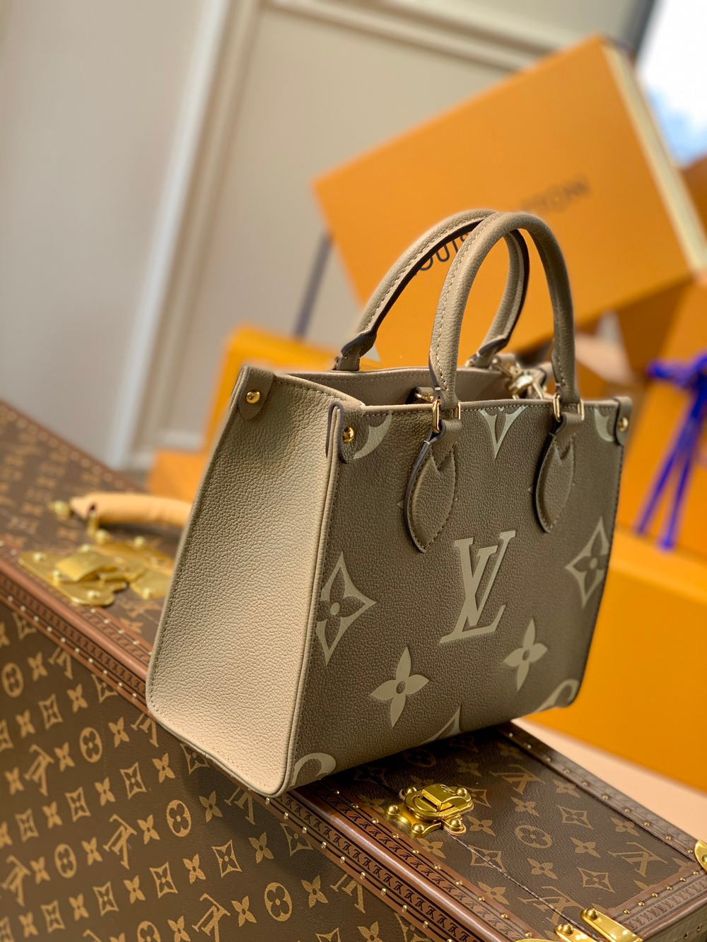 Louis Vuitton OnTheGo PM