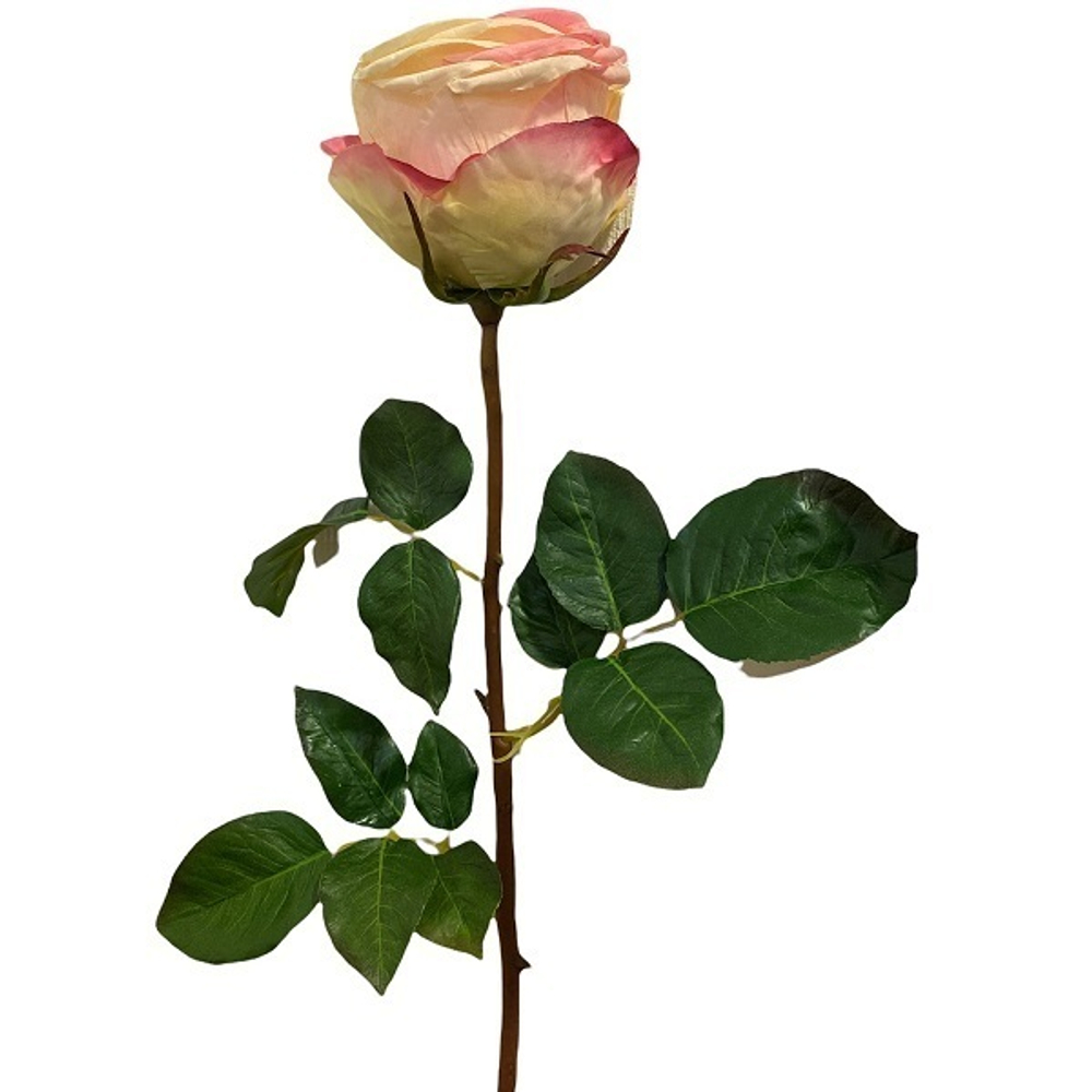 Роза  розово-красная [Арт. 112055]