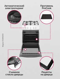 Газовая плита Hansa FCGW52053