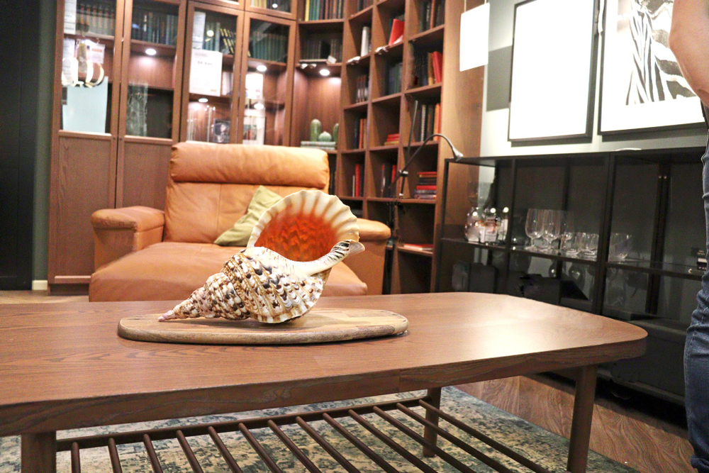 Морская раковина Рог тритона в интерьере мужской гостиной