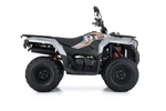 Квадроцикл  Loncin Xwolf 300