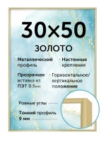 Металлическая фоторамка 30х50 см