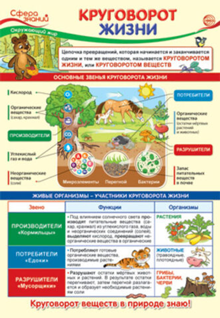 Плакат 23*42см "Окружающий мир в начальной школе. Круговорот жизни"