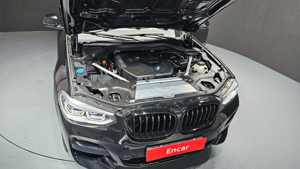 BMW X4 (G02) xDrive20i M Sport X