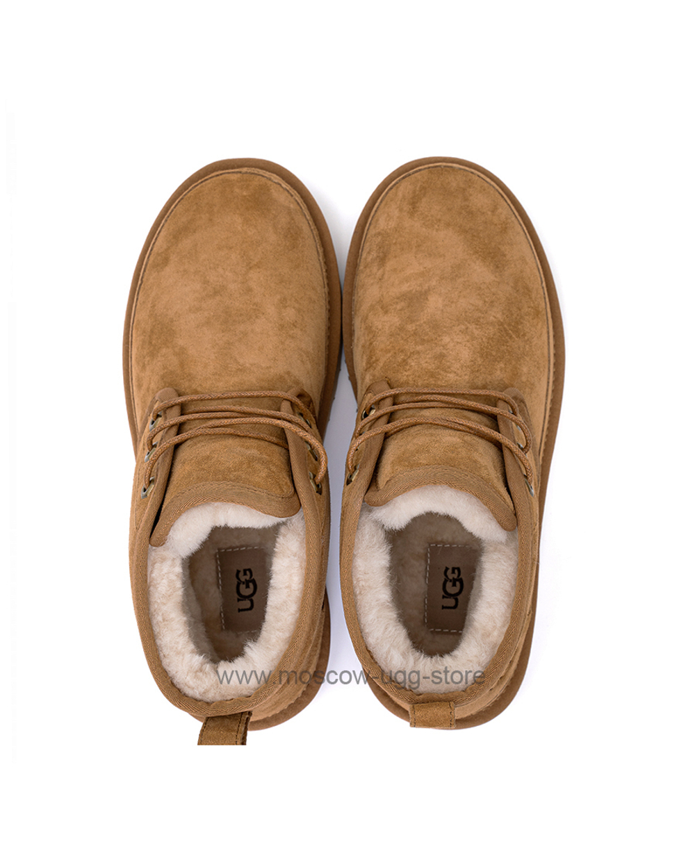 NEUMEL-chestnut