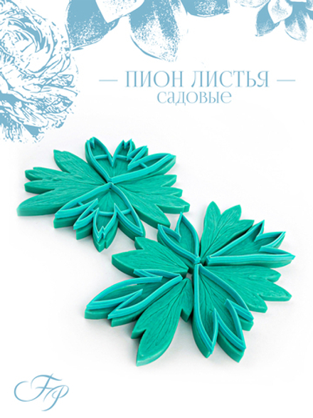 Пион листья садовые