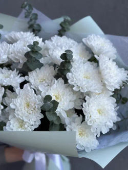 Букет Белые хризантемы с эвкалиптом