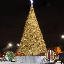 Уличная искусственная светодинамическая елка Альпийская зеленая 17 м., ствольная, ПВХ, Green Trees (GT17APVCLED)