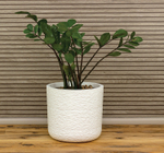 Кашпо СЛАНЕЦ D280 мм 9,5 л со вставкой