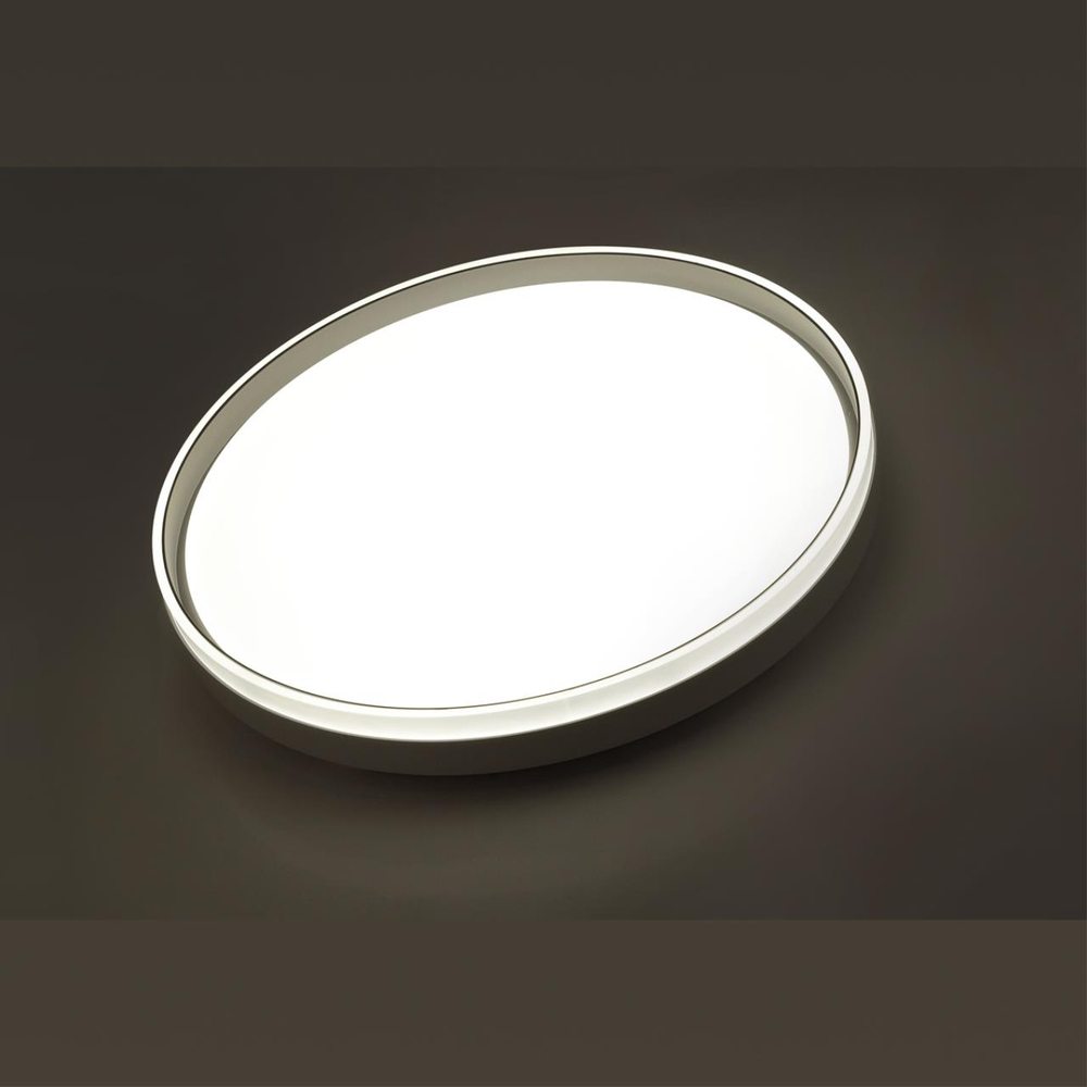 7631/DL PALE SN 160 Светильник пластик/светло-серый LED 48Вт 3000-6300K D390 IP43 пульт ДУ SAVI